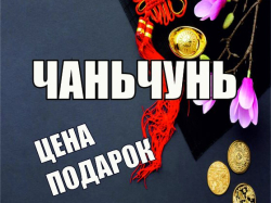 Чанчунь